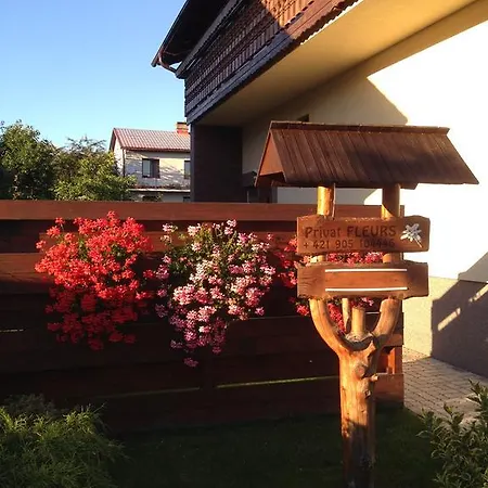 Fleurs Maison d'hôtes